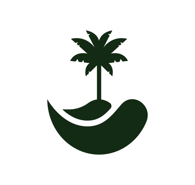 SafeNet Logo